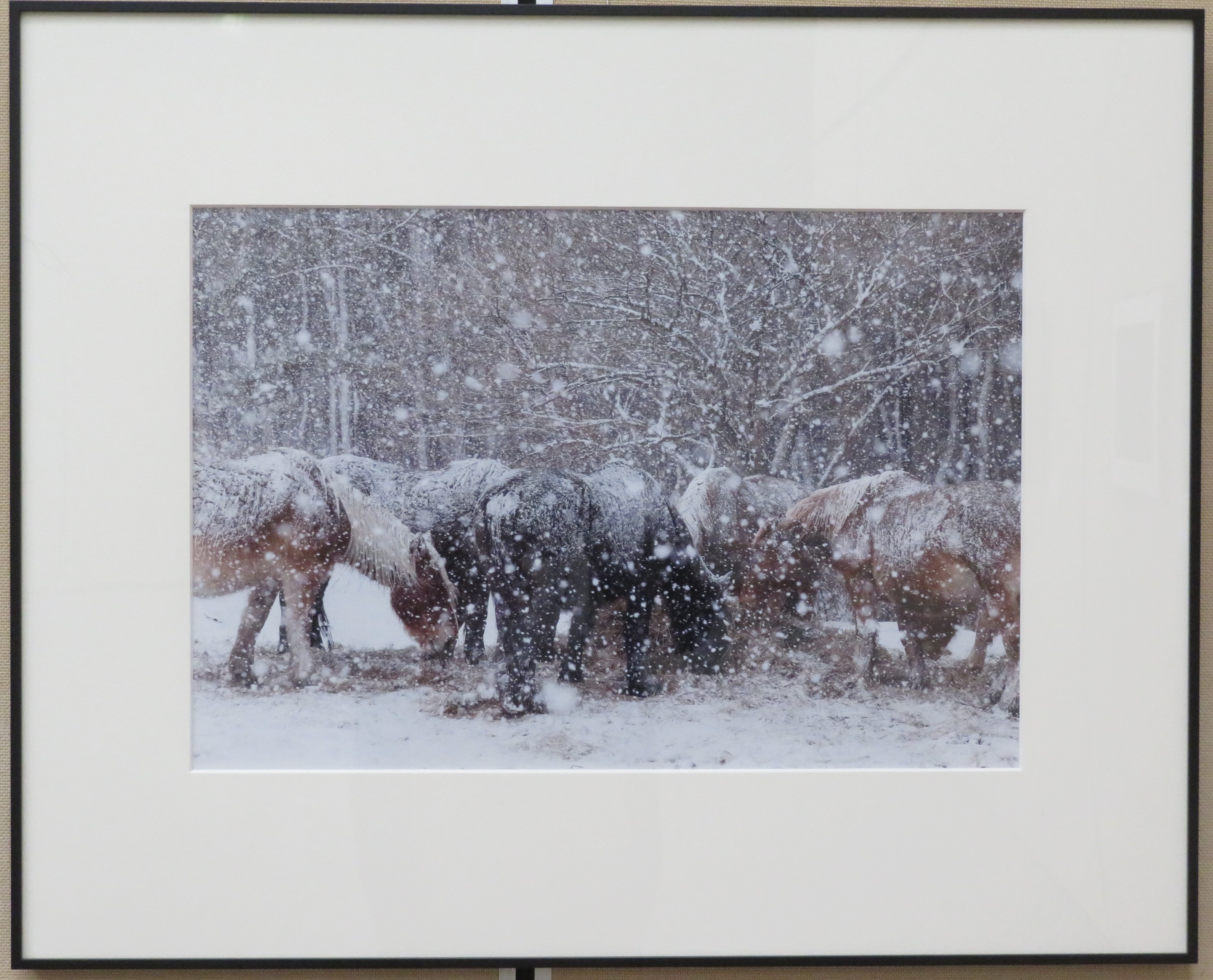 この画像はクリックすると大きな画像を閲覧できます。